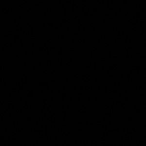 Meet your Posher, Eemilio